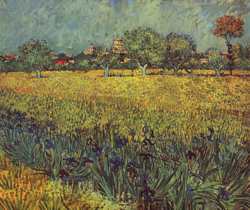 Vincent van Gogh View of Arles with Irises in the Foreground